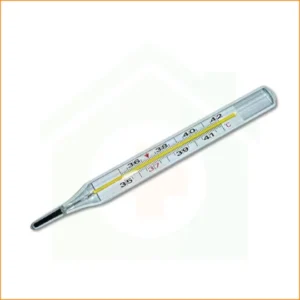 Fever thermometer electronic