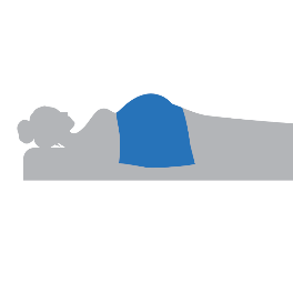Abdomen Shield